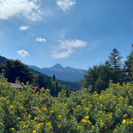 Appartamento Duplex 59M2 - Proche Centre - Balcon Plein Sud Corrençon-en-Vercors Esterno foto