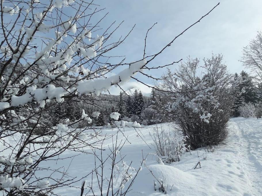 Appartamento Duplex 59M2 - Proche Centre - Balcon Plein Sud Corrençon-en-Vercors Esterno foto