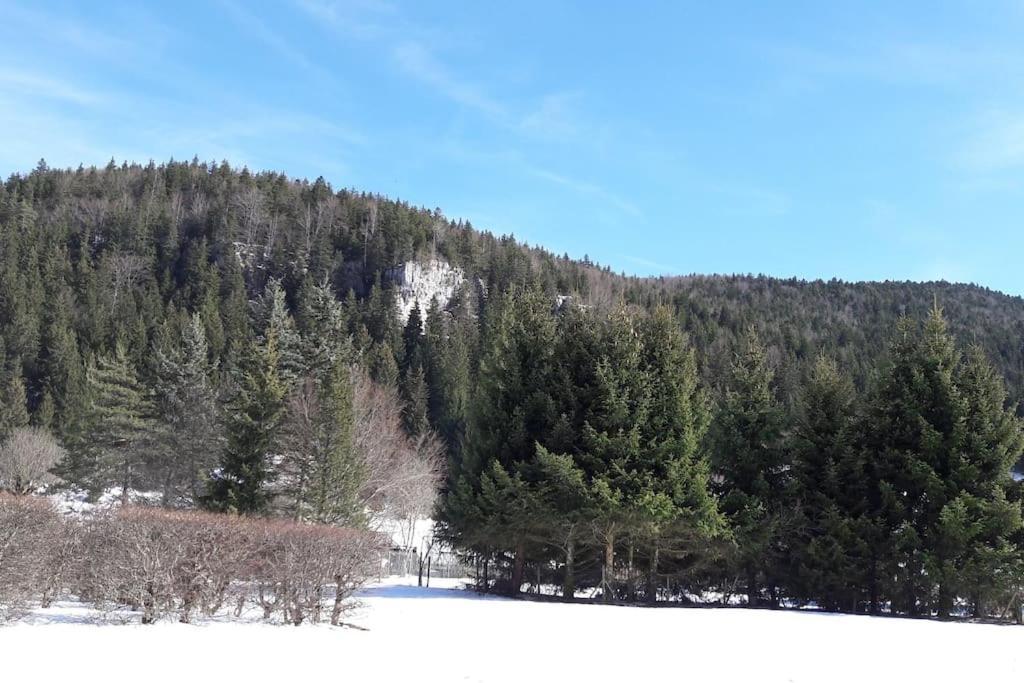 Appartamento Duplex 59M2 - Proche Centre - Balcon Plein Sud Corrençon-en-Vercors Esterno foto