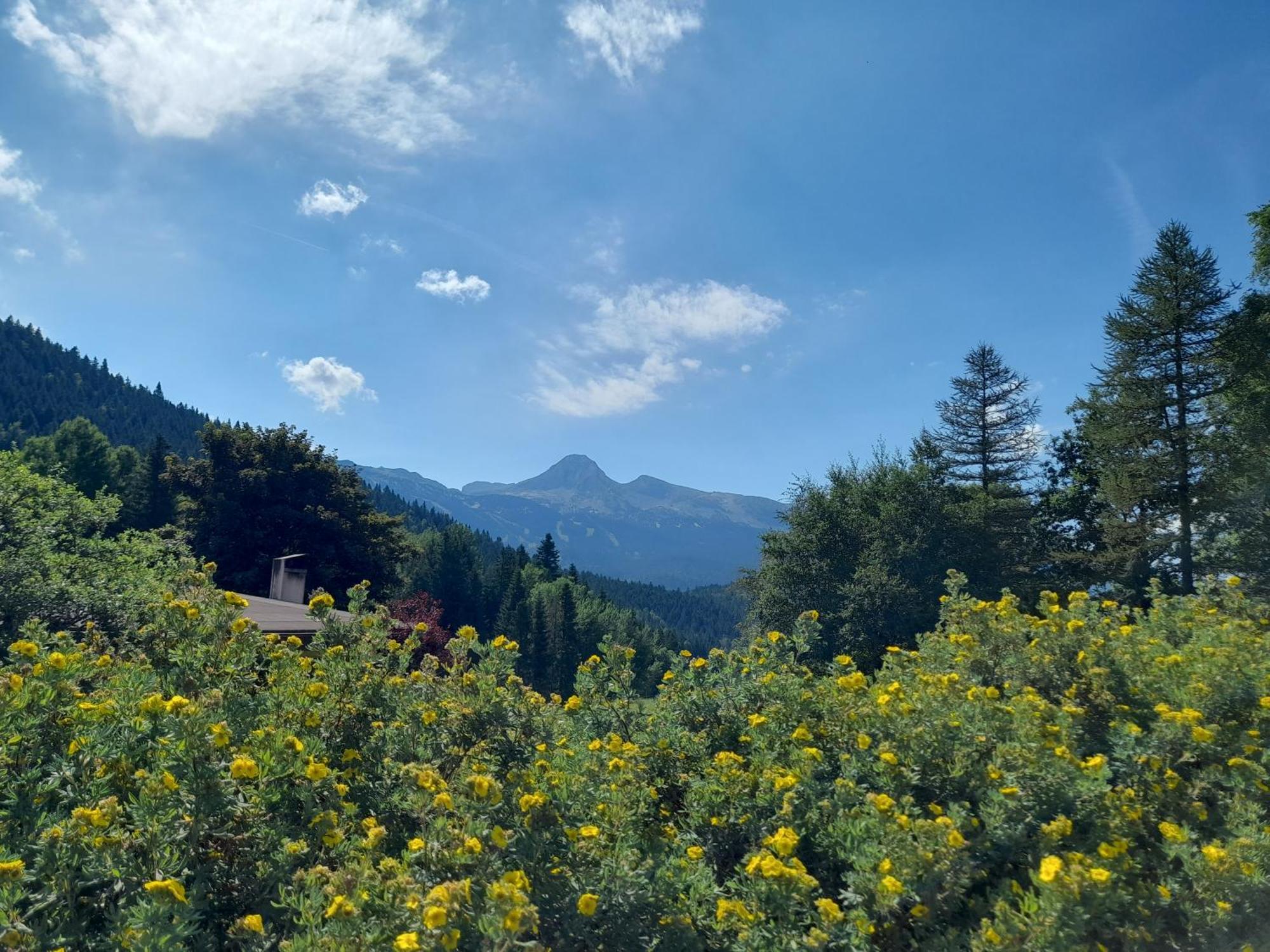 Appartamento Duplex 59M2 - Proche Centre - Balcon Plein Sud Corrençon-en-Vercors Esterno foto