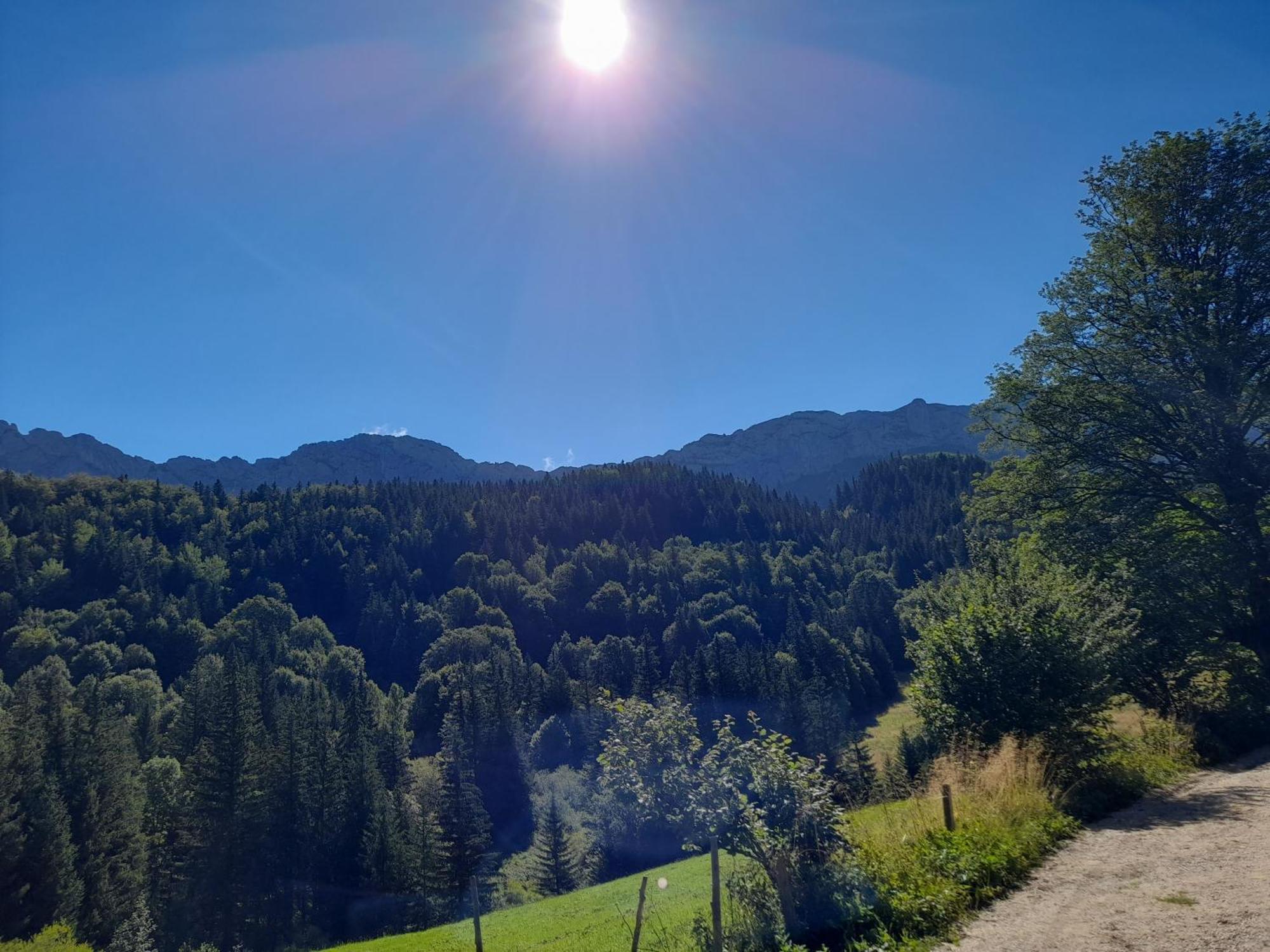 Appartamento Duplex 59M2 - Proche Centre - Balcon Plein Sud Corrençon-en-Vercors Esterno foto